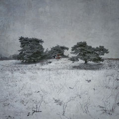 A WINTER SYMPHONY | MOVEMENT VI