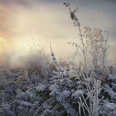WINTER IS CLOSE III
