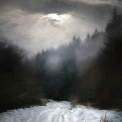 VANISHING PATH