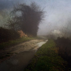 PATH ALONG THE RIVER