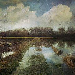 THE SINKING LAND