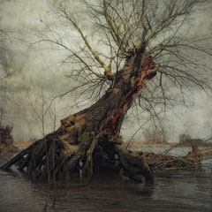 RIVER GUARD