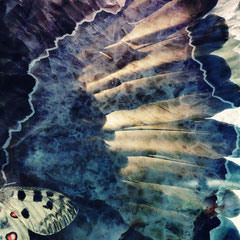 WINGS I