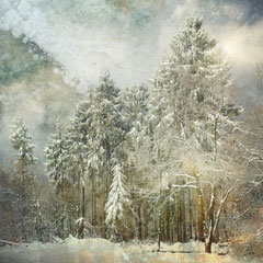 FOR NOW I AM WINTER