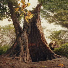 RIVERSIDE POPLARS I
