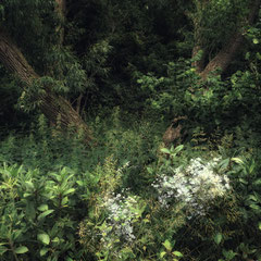 UNSEEN, UNKNOWN