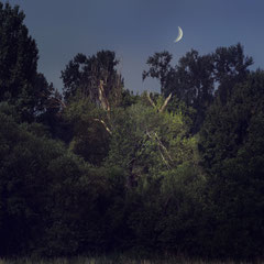 THE CRESCENT MOON