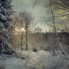 WINTER SUN