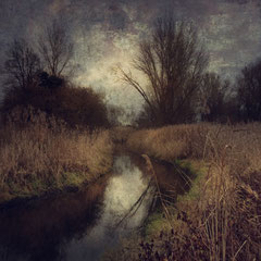 A GLIMPSE OF LIGHT