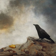 WATCHER OF THE SKIES