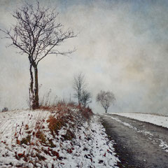 THE LONELY WINTER I