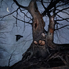 ON DARK WINGS | PART XIII