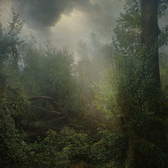 <span style="font-family: Ubuntu Condensed; letter-spacing:0.3em;">THE LIGHT THAT SHINES</span> </p>