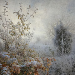 WINTER IS CLOSE II