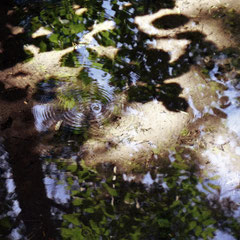 WATER 55