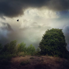 THERE SHALL BE RAIN | PART II