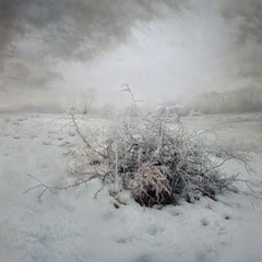 WHEN WINTER CAME TO STAY IV
