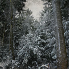 FROZEN MONDAY