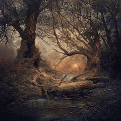 <span style="font-family: Ubuntu Condensed; letter-spacing:0.3em;">DARKLAND II (REMIX)</span><br>