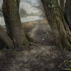 PATH BY THE RIVER