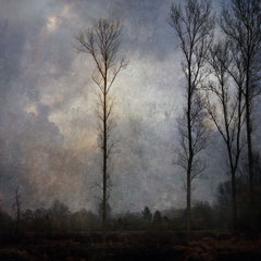 WINTER SOLSTICE
