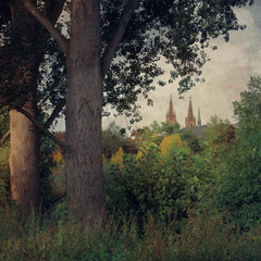 RHEINAUE GEISENHEIM IV
