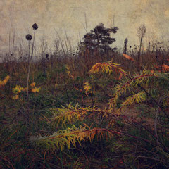 COLOURING THE GROUND II