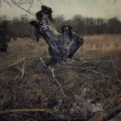 DECROWNED