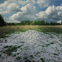 WHITE SAND