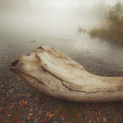AUTUMN VEIL - PART XX