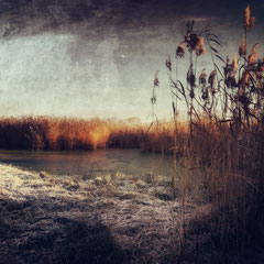 THE FROZEN WORLD