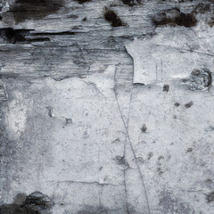 TEXTUROLOGIE 74