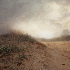 DAYS OF FOG AND WONDER X