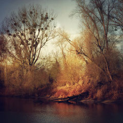 WINTER ON FIRE