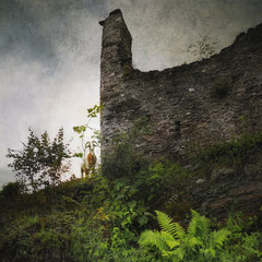 THE GOAT AND THE CASTLE