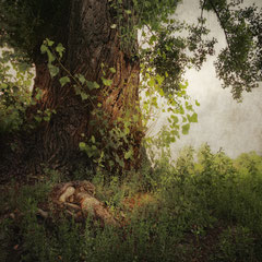UNDER THE POPLAR