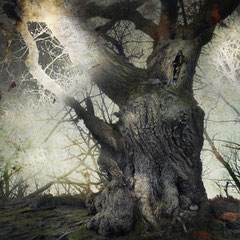 DARKWOOD