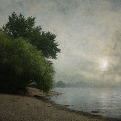 THE FOG IS CLEARING III