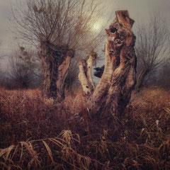 REVERIE