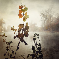 I LIVE BY THE RIVER (II)