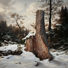 <span style="font-family: Ubuntu Condensed; letter-spacing:0.3em;">WINTER SOLITUDE (REMIX)</span><br>