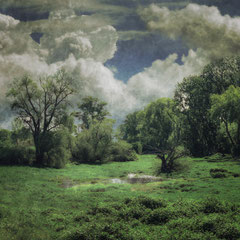 AFTER THE RAIN