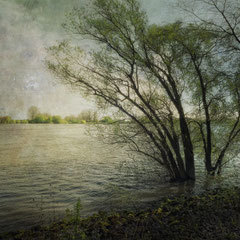OF RISING RIVERS
