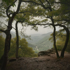 MORGENBACHTAL