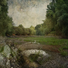 THE DRY RIVER