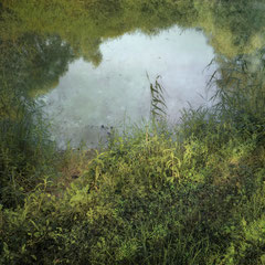 CRYSTAL WATERS