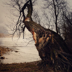RIVER DAWN
