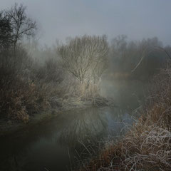 A PALE LIGHT IN WINTER