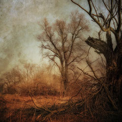 NOWHERELAND