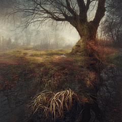 <span style="font-family: Ubuntu Condensed; letter-spacing:0.3em;">WETLAND (REMIX)</span><br>